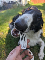 Eugene the Borzoi Stcker
