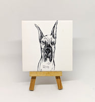 Great Dane Dog Breed Coaster