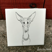 Ibizan Hound Coaster