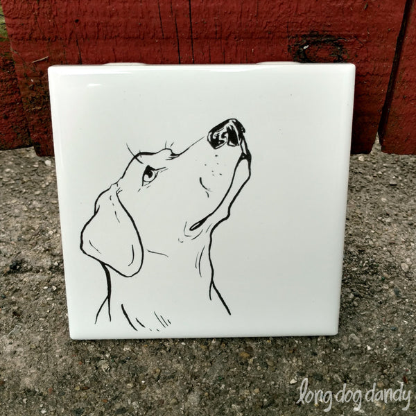 Labrador Coaster