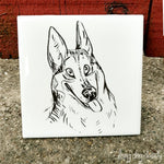 Husky Coaster