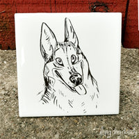 Husky Coaster