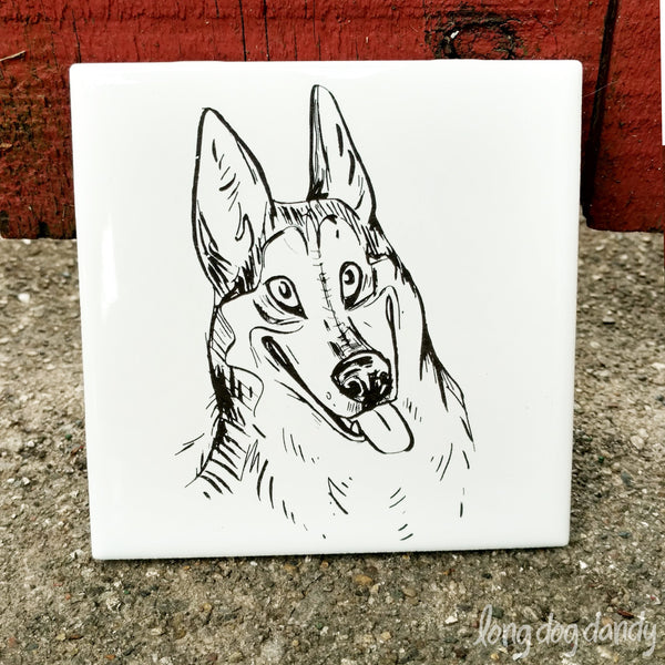 Husky Coaster