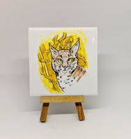 Bobcat Coaster