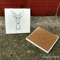 Ibizan Hound Coaster